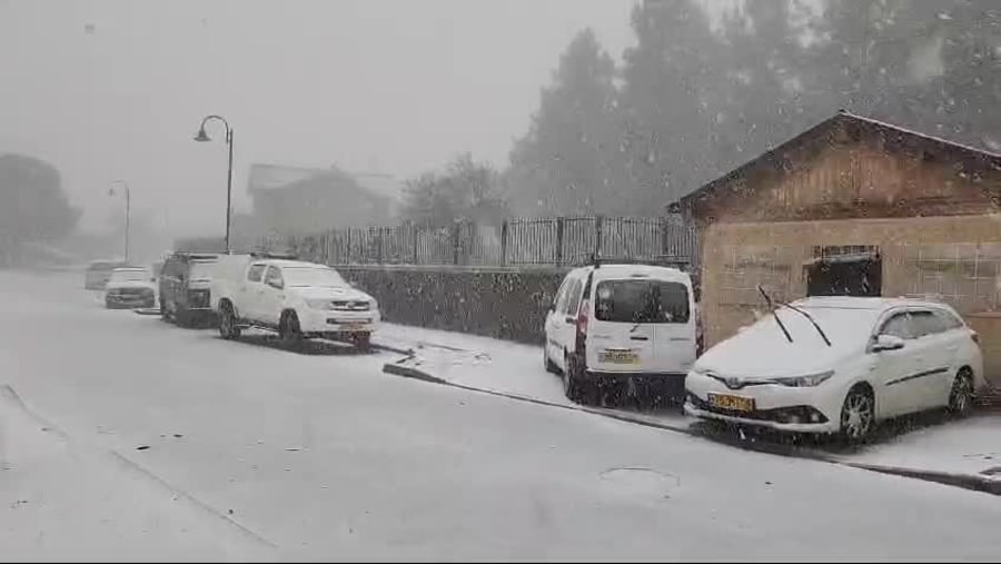WhatsApp Video 2025-02-06 at 08.14.15