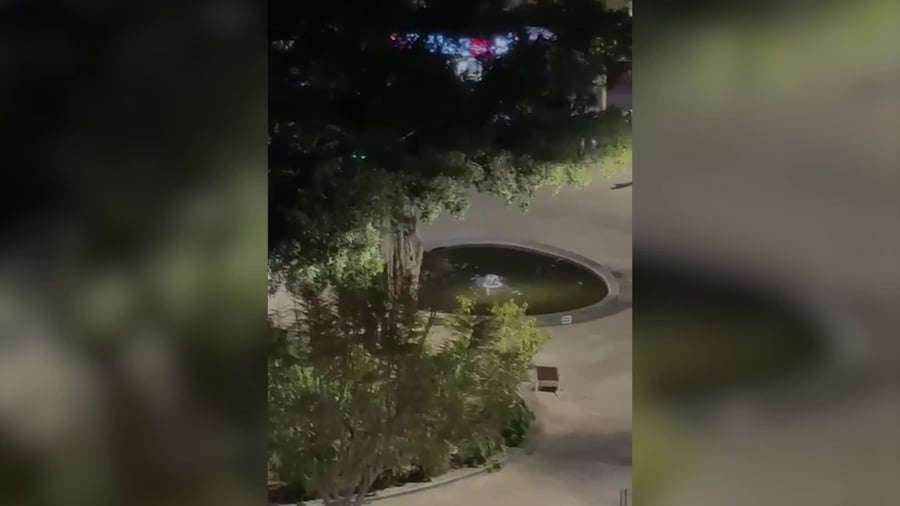 מעצר השבח"ים | צילום: דוברות המשטרה
