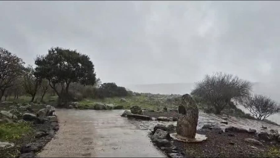 גמלא גשם