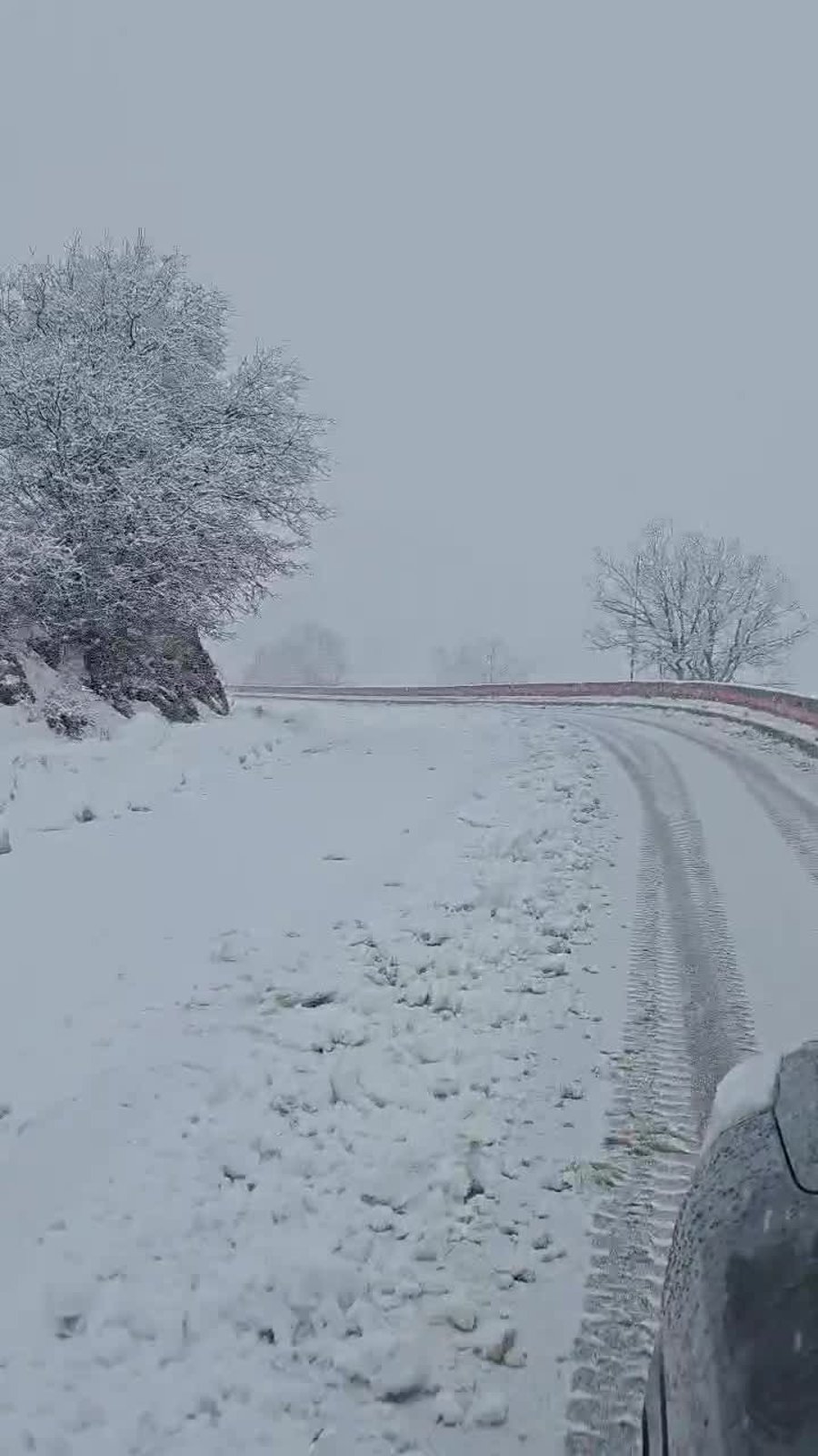 WhatsApp Video 2025-02-12 at 15.21.14