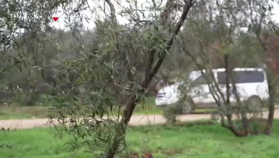 סרטון חטופים 22.2