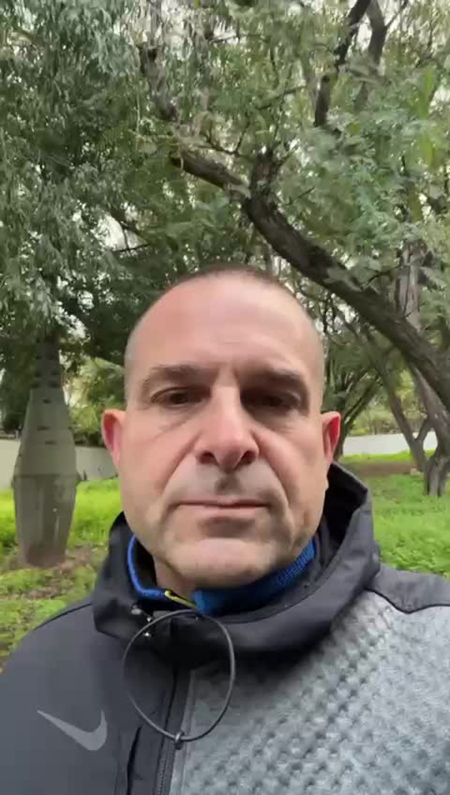 מיכה אבני