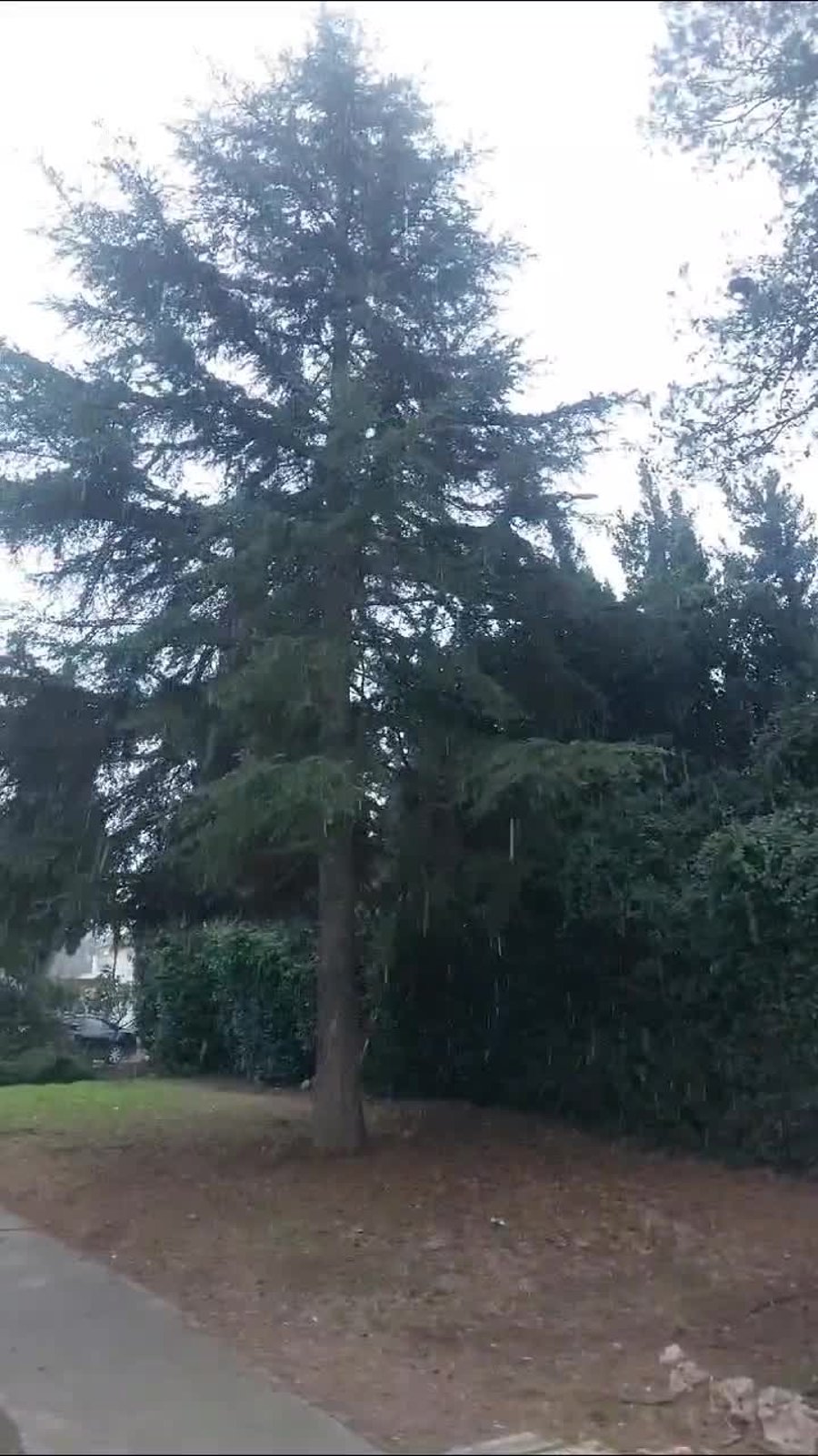 WhatsApp Video 2025-02-23 at 17.26.01