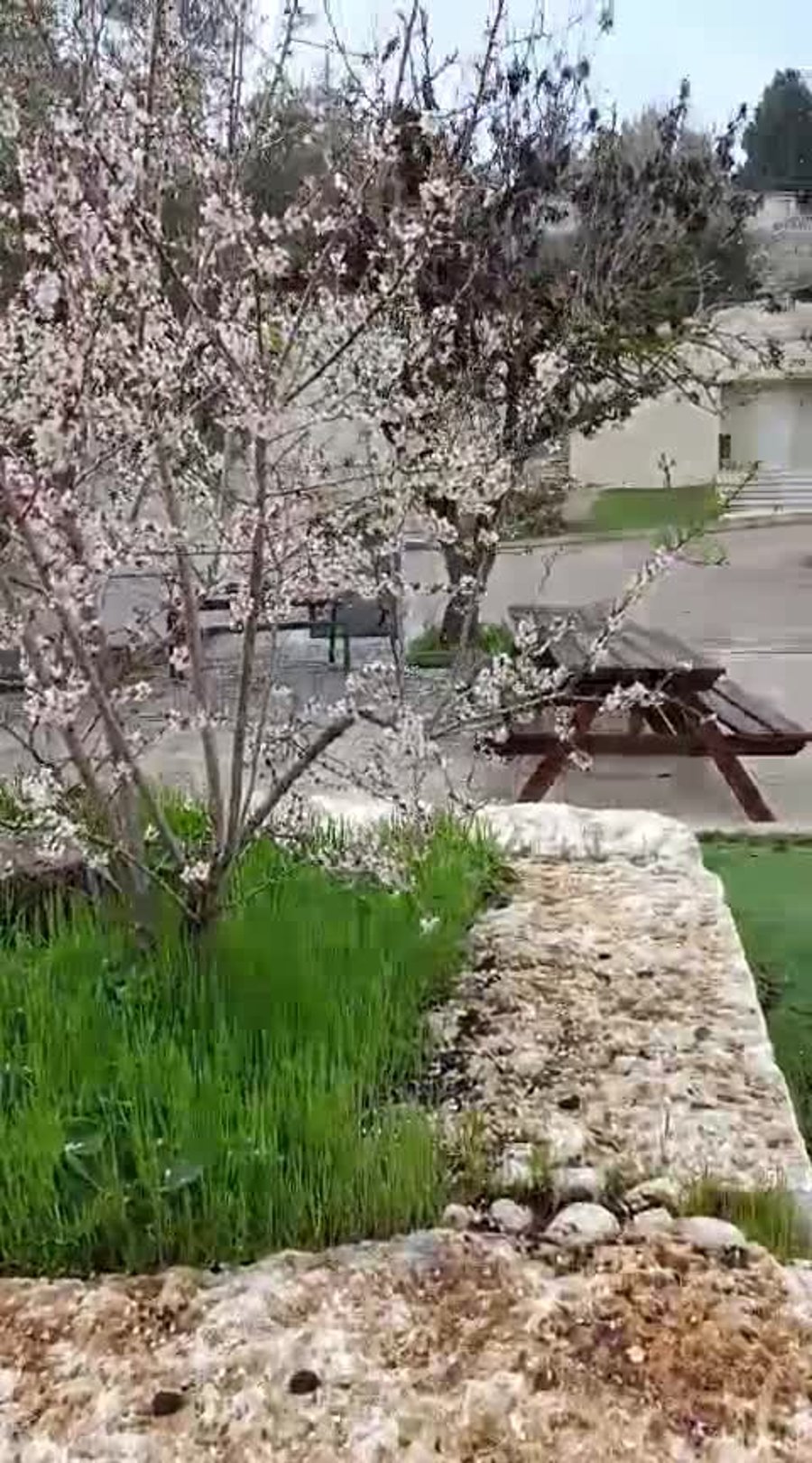 WhatsApp Video 2025-02-24 at 08.23.32