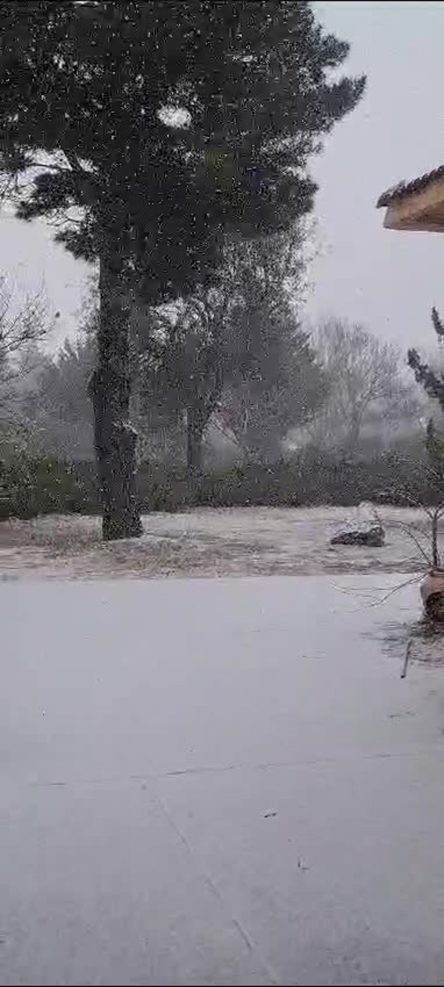 WhatsApp Video 2025-02-24 at 08.08.09 (1)