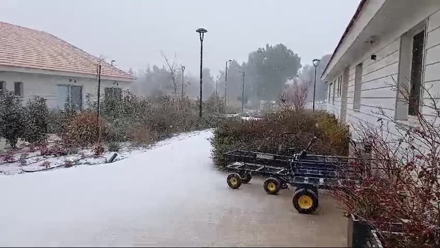 WhatsApp Video 2025-02-24 at 08.08.08