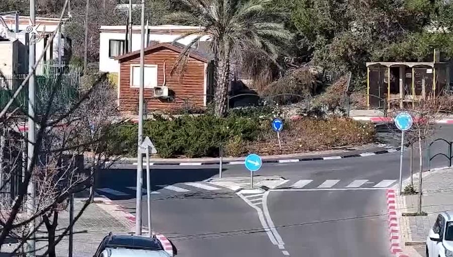 WhatsApp Video 2025-03-17 at 08.18.18