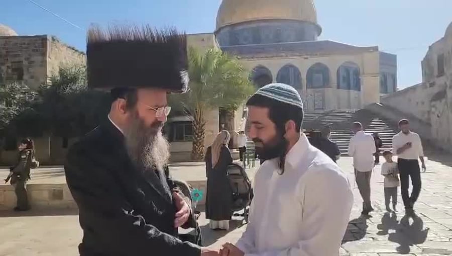 צבי סוכות בהר הבית