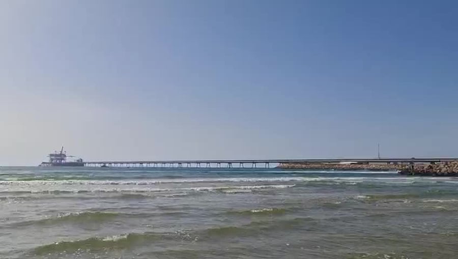 כרישים