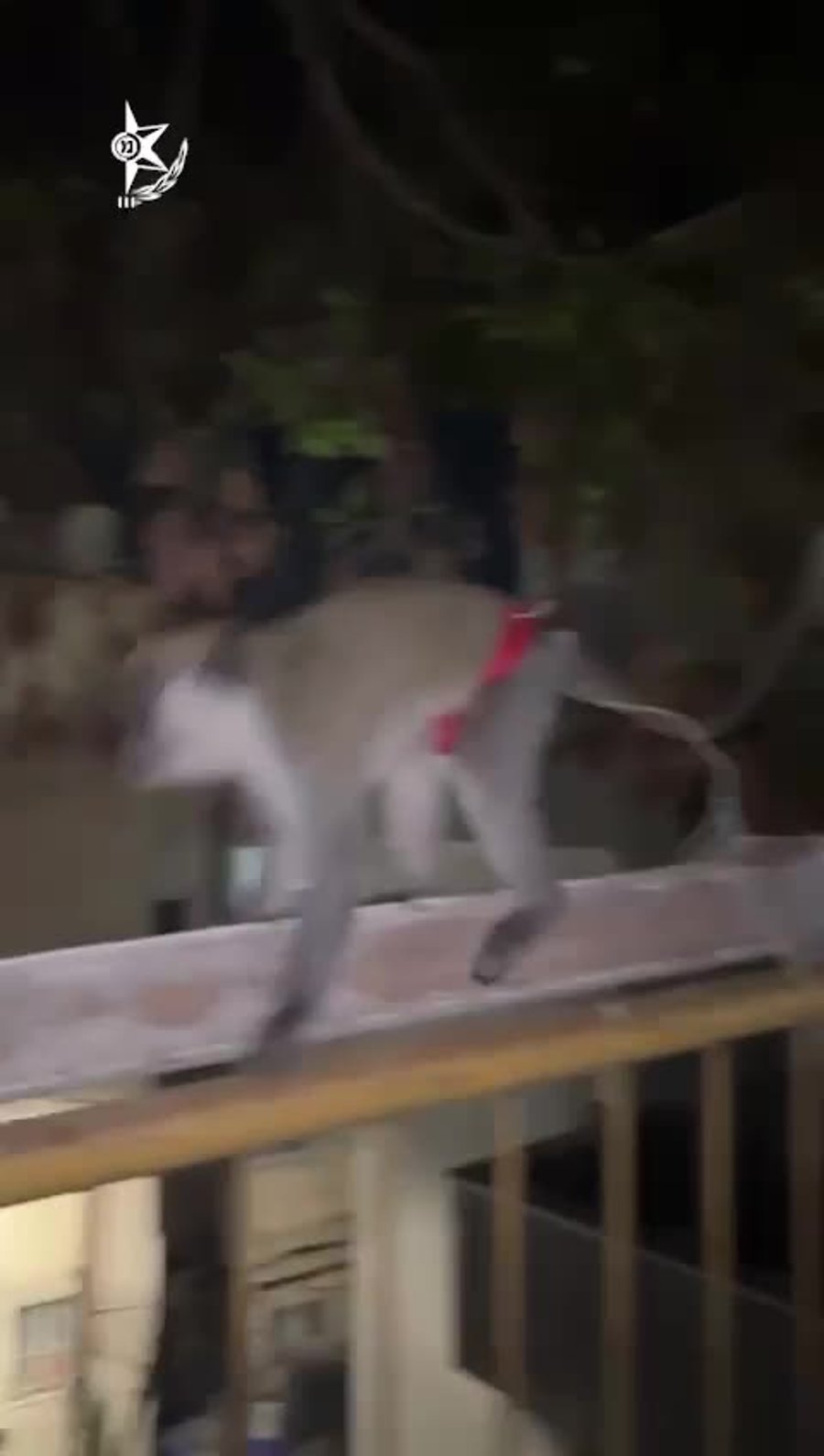 WhatsApp Video 2025-04-28 at 09.35.49