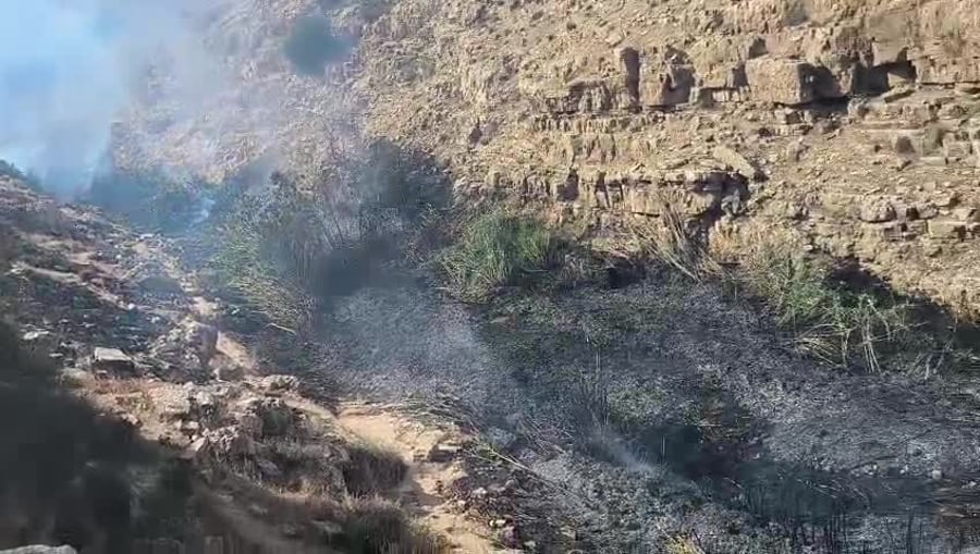 WhatsApp Video 2025-04-28 at 12.48.28