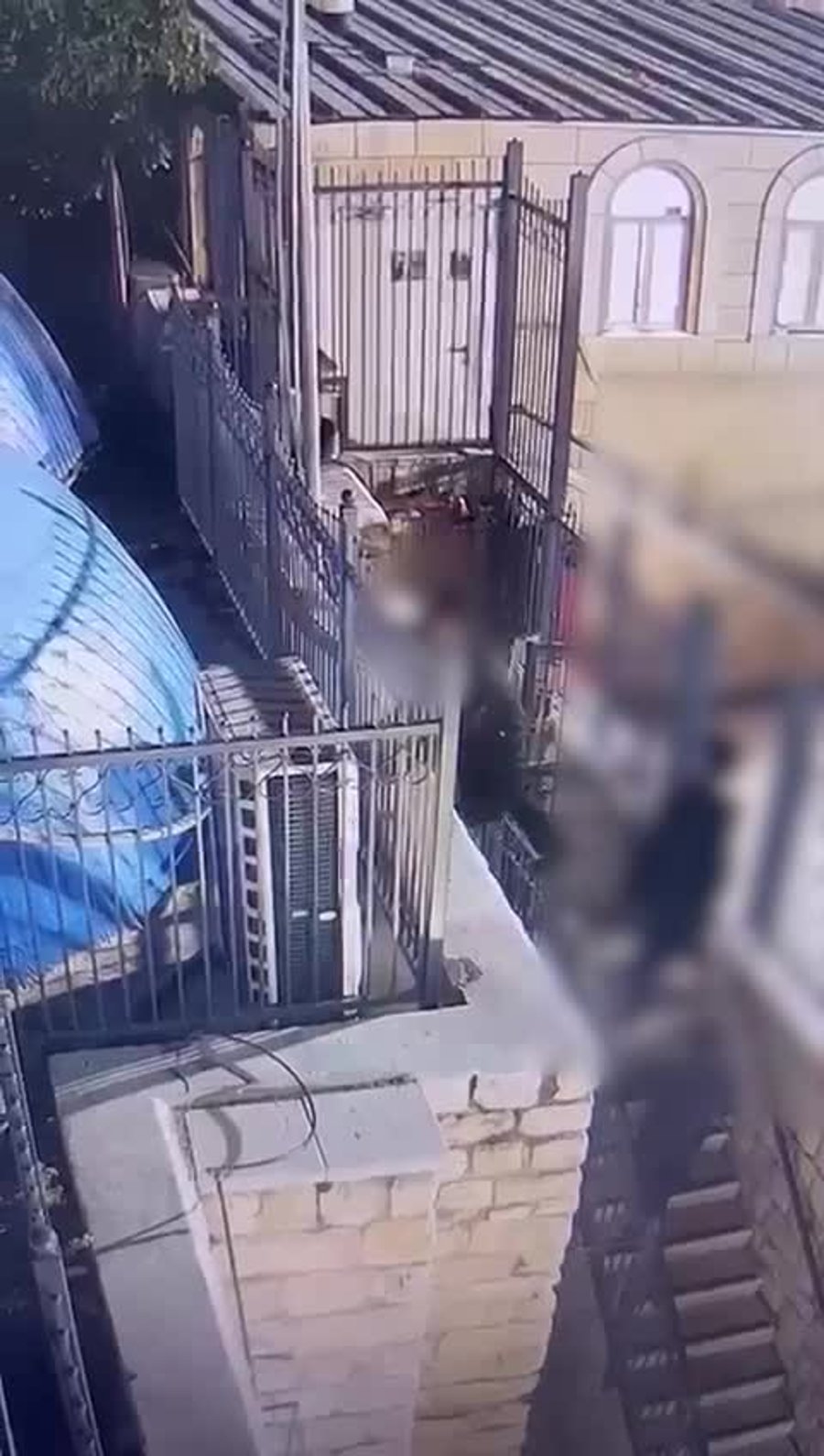 WhatsApp Video 2025-05-12 at 08.28.11