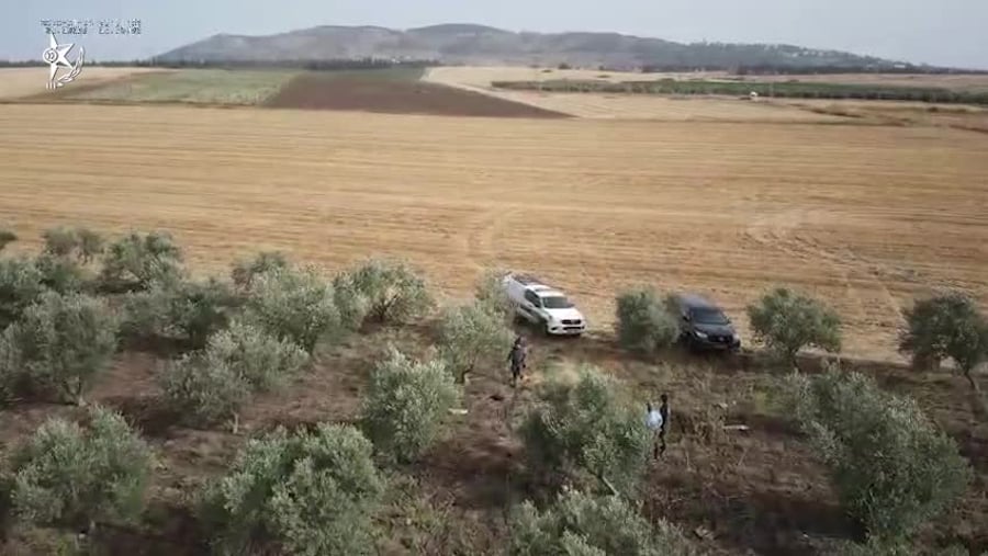 Video 20-05-2025, 10 49 49