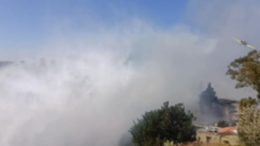 WhatsApp Video 2025-06-29 at 15.07.40