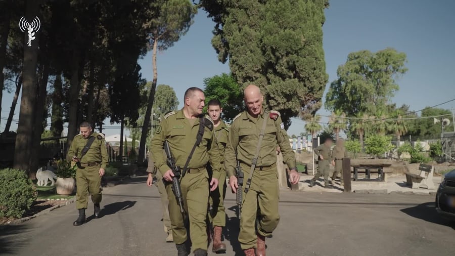 זמיר בסוריה