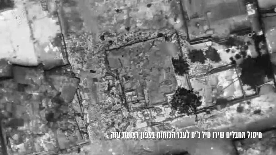 חיסול מחבלי נט
