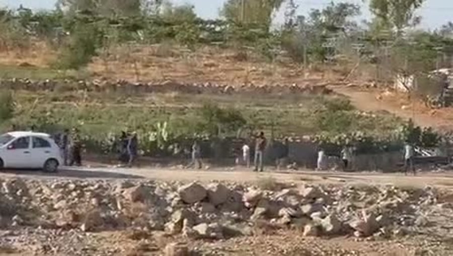 WhatsApp Video 2025-07-29 at 14.20.05