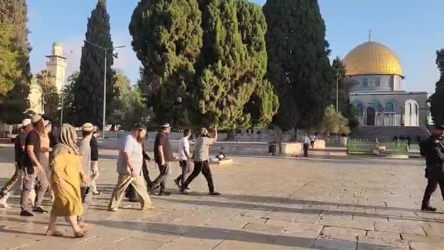 WhatsApp Video 2025-08-03 at 08.44.48