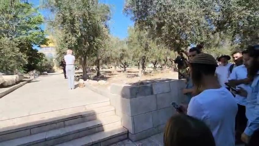 עליה להר הבית