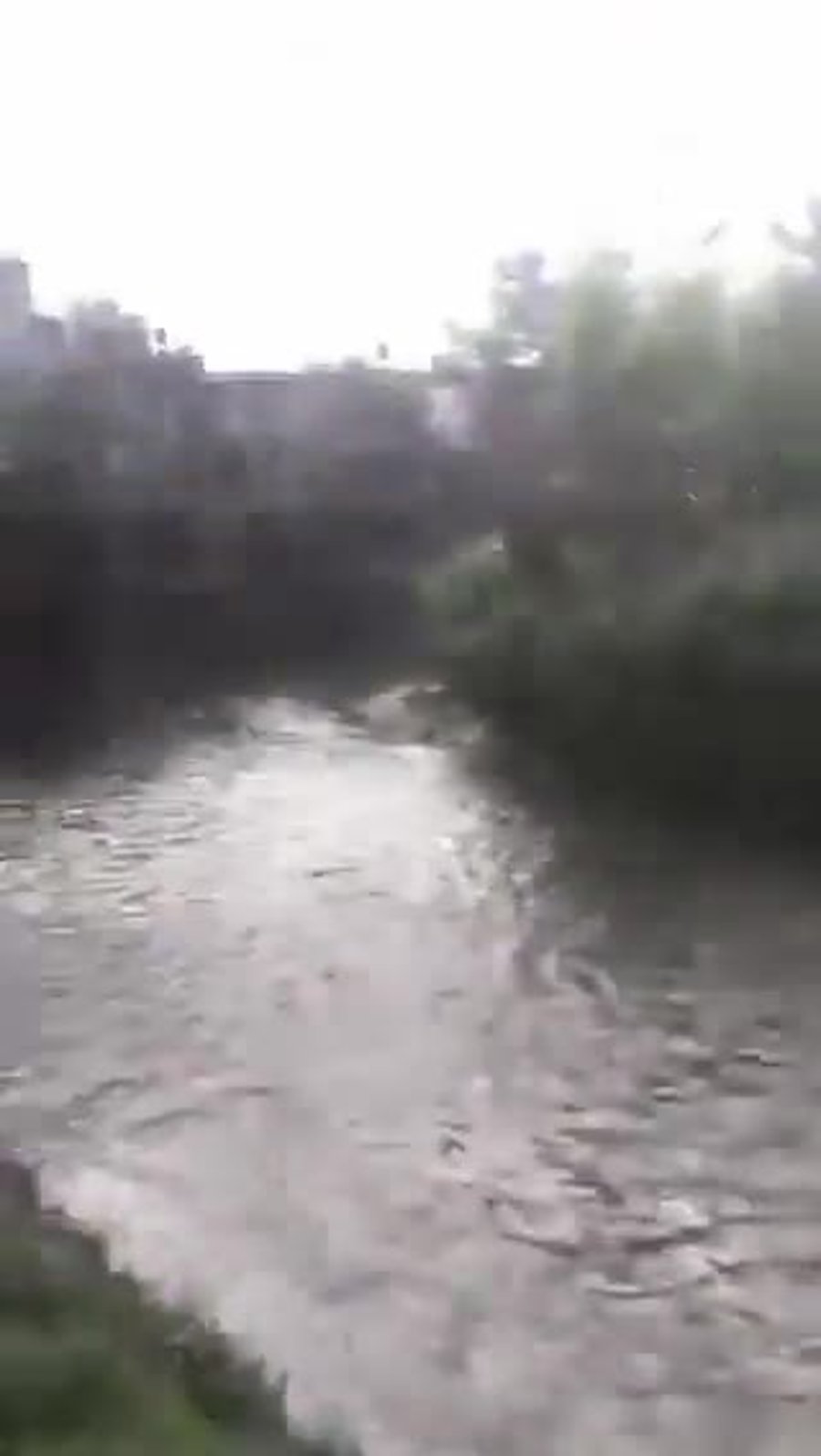 Ssstwitter.Com 1757422327246