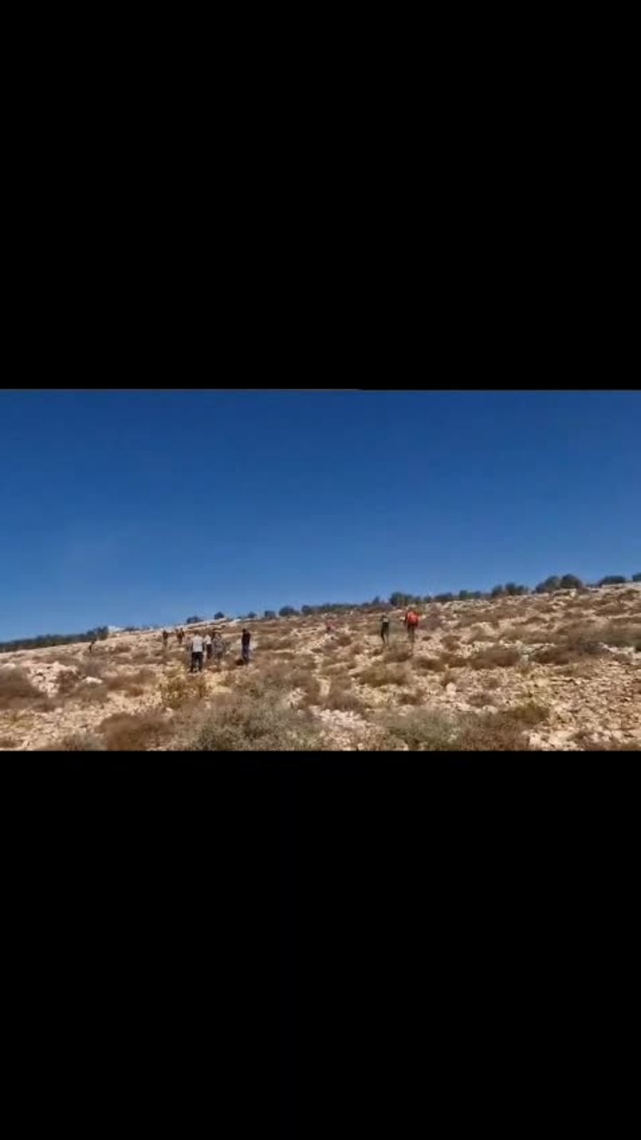 התפרעות האנרכיסטים