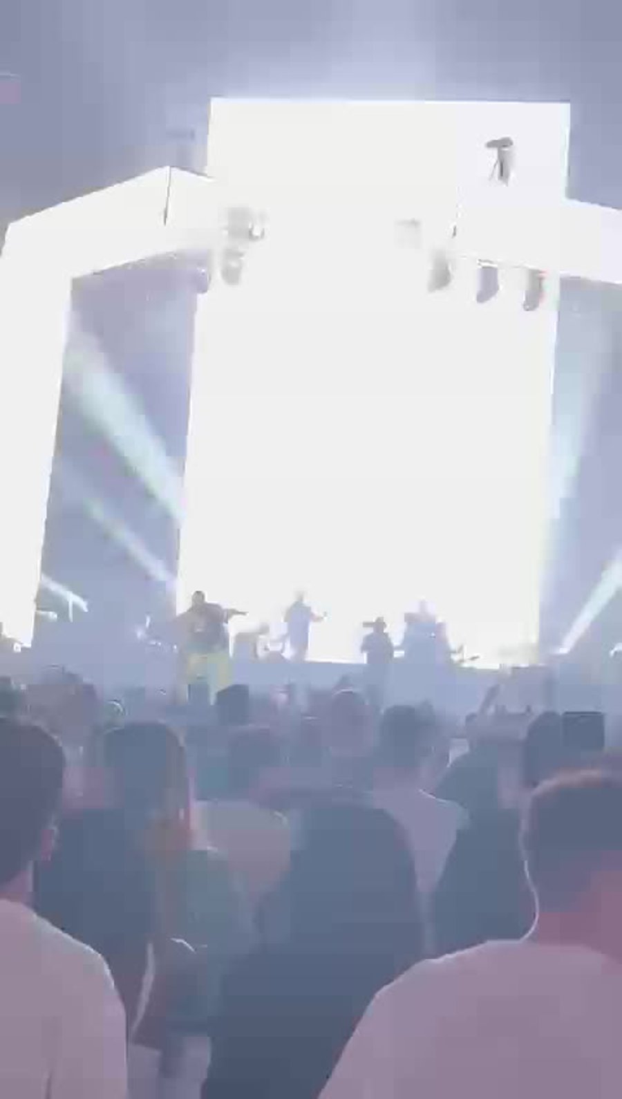 (צילום: סרוגים)