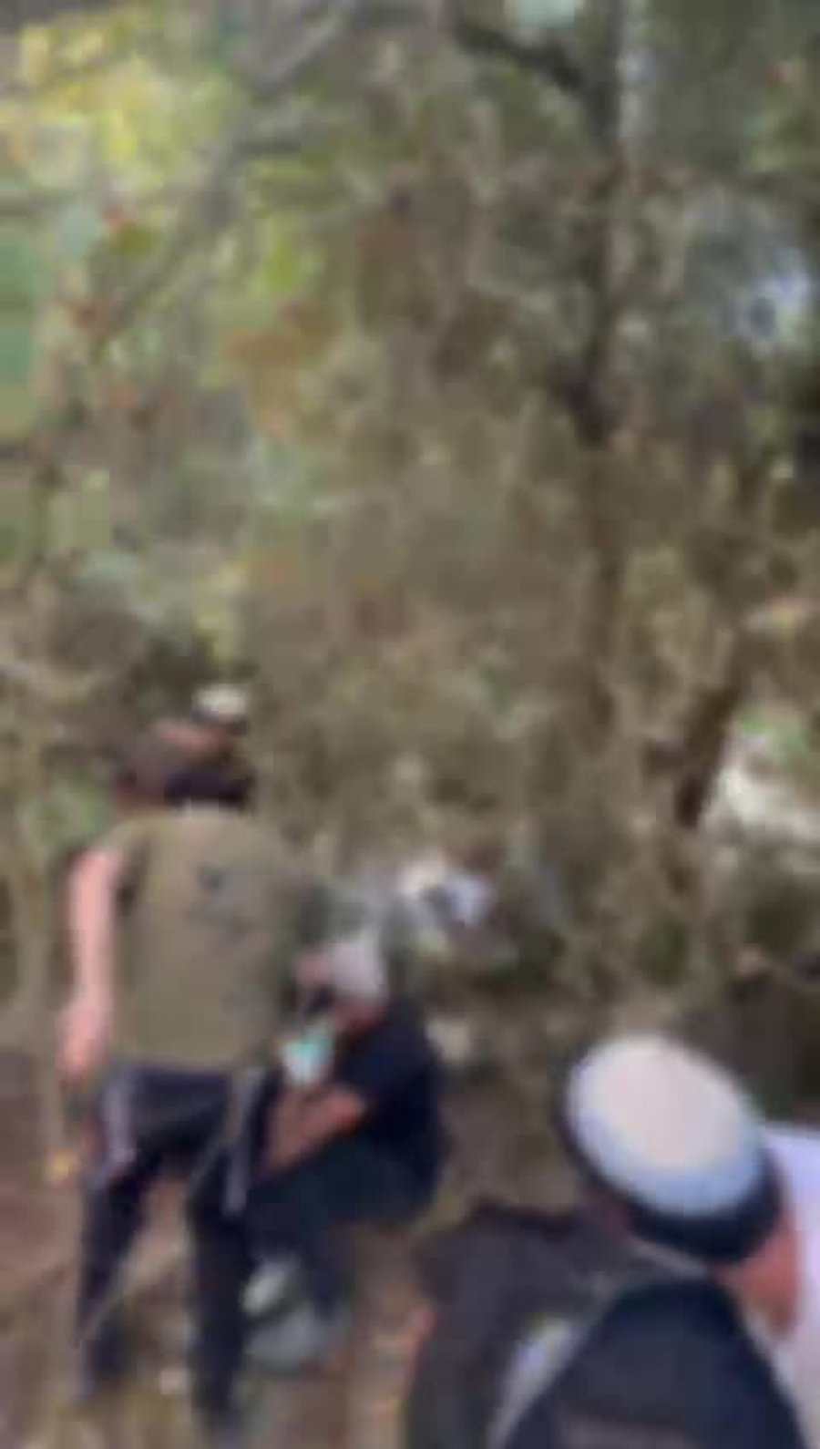 מציאת דוד חיים עייש