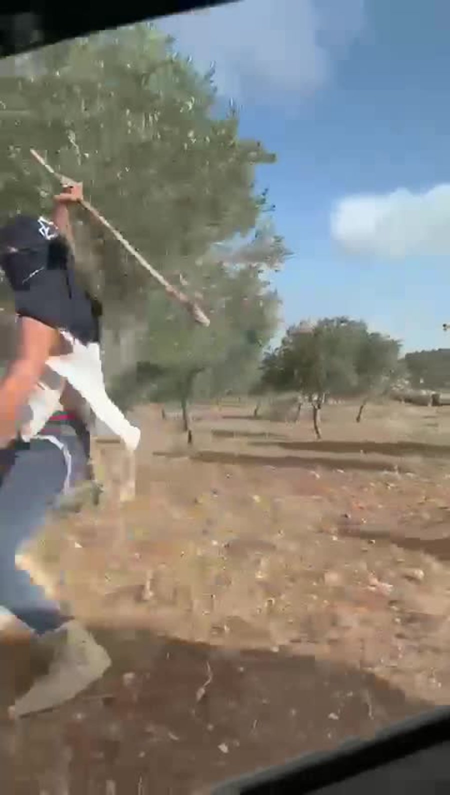 תורמוס עייא