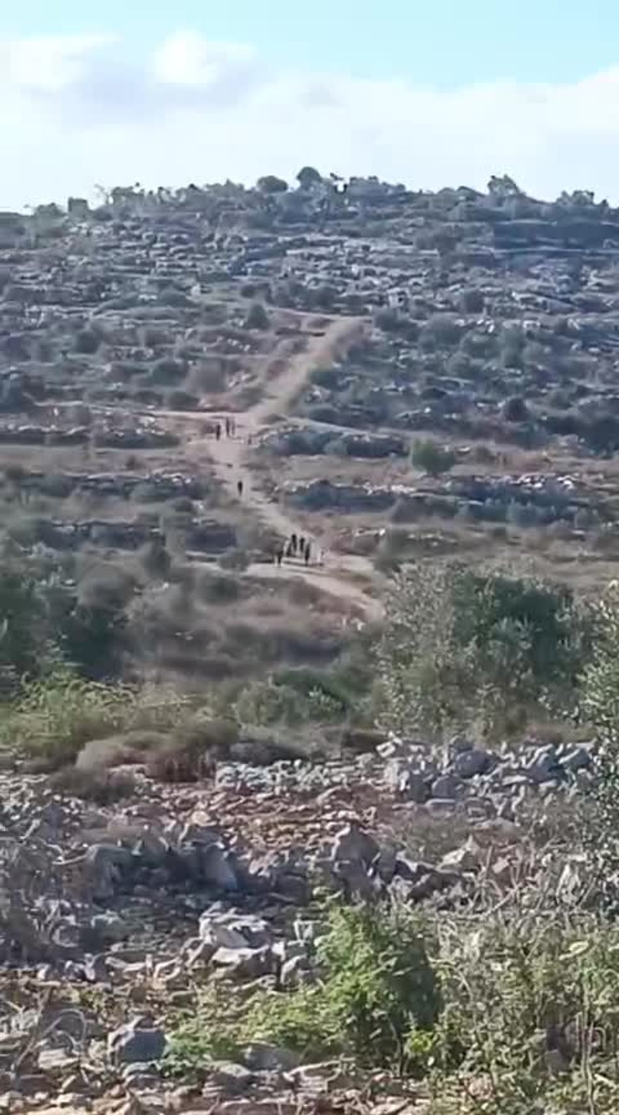 תקיפת יהודים בגבעת 'שירת ציון' | צילום: חופשי