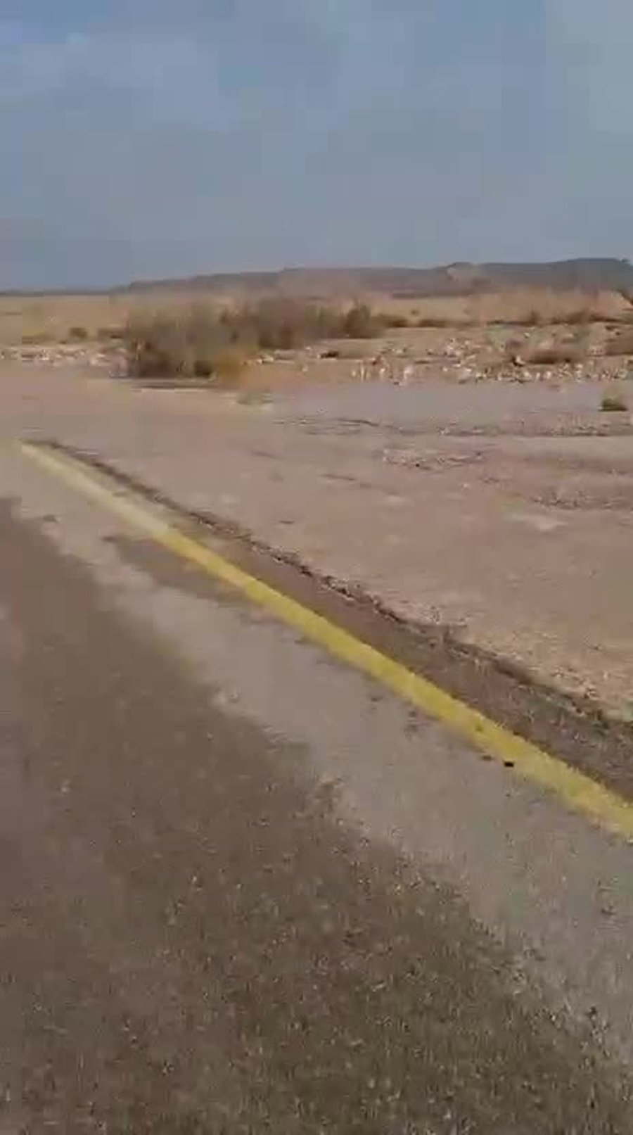 מזג האוויר הסוער