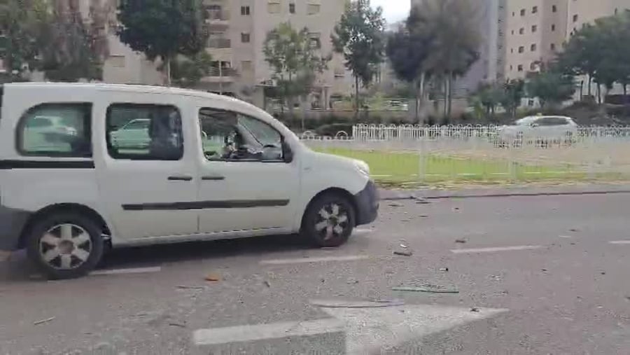 עץ אשקלון