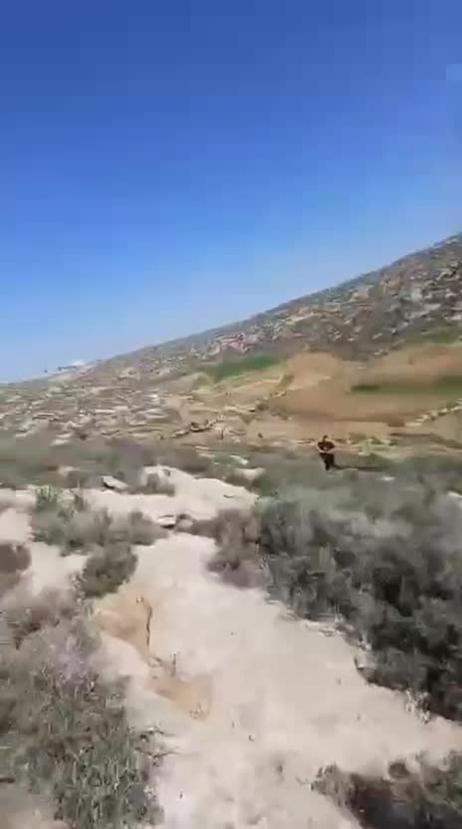 WhatsApp Video 2026 02 02 At 15.54.48