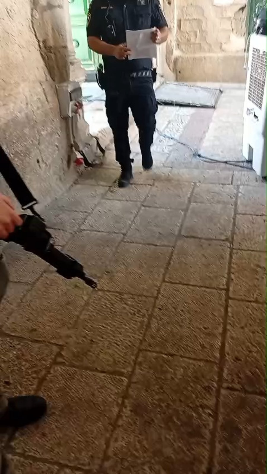 מעצר העולה שהניף דגל ישראל