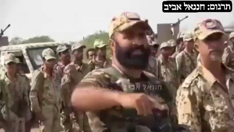 צפו