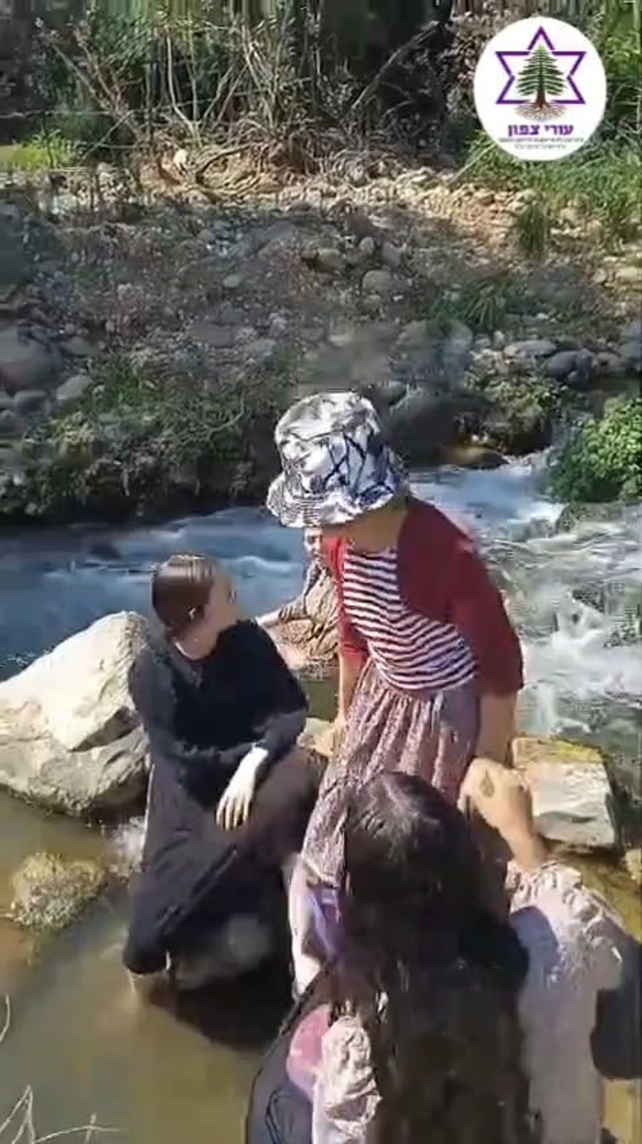 הפיעלות בנחל שניר שבלבנון