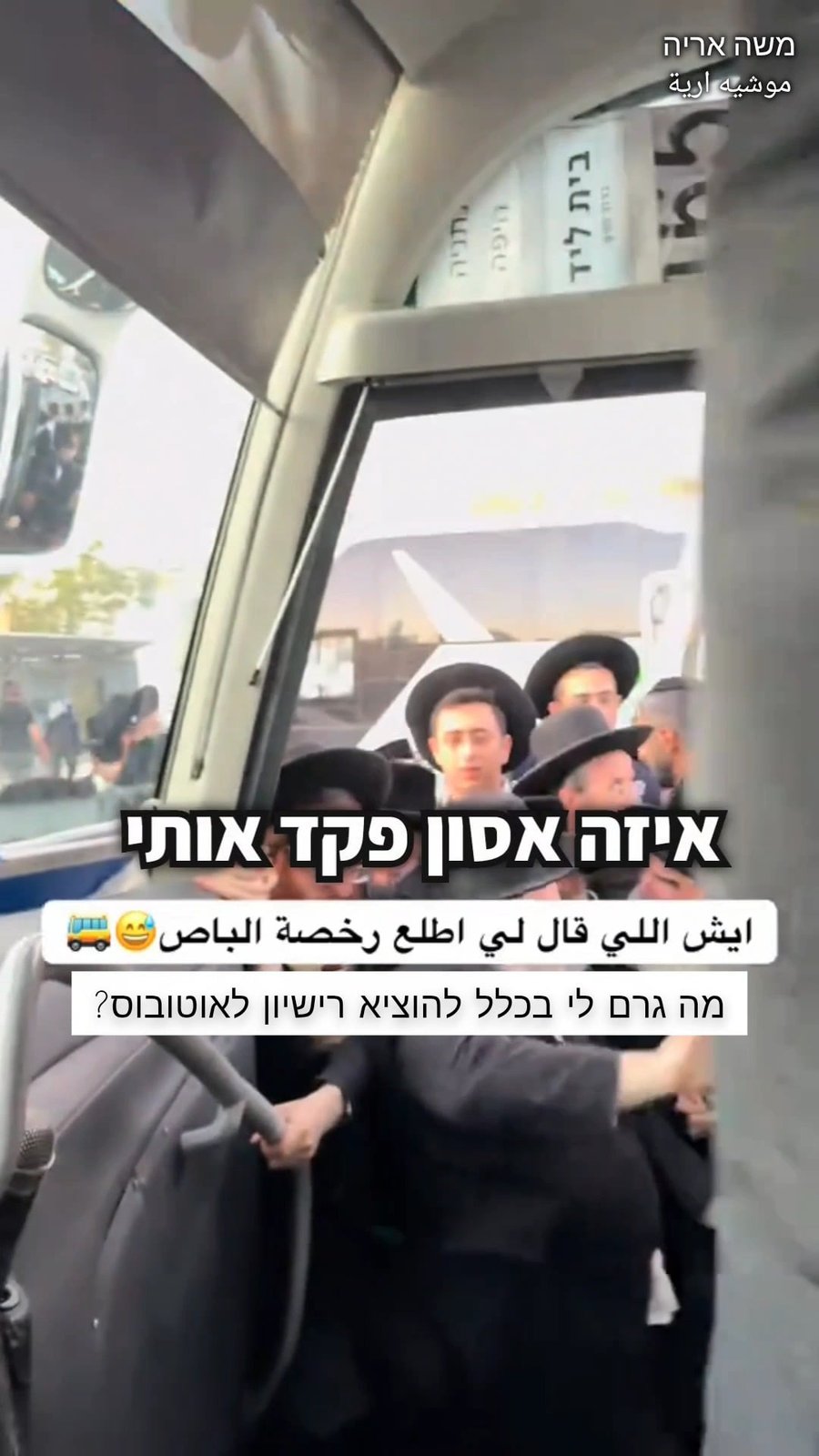צפו