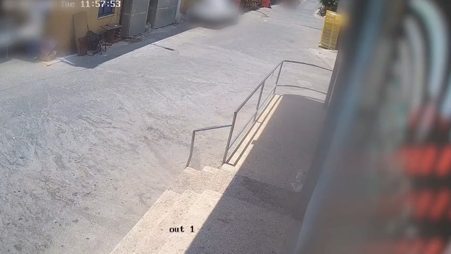 הרצח בטמרה