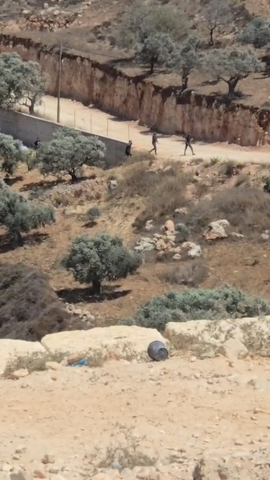המתפרעים שיידו אבנים