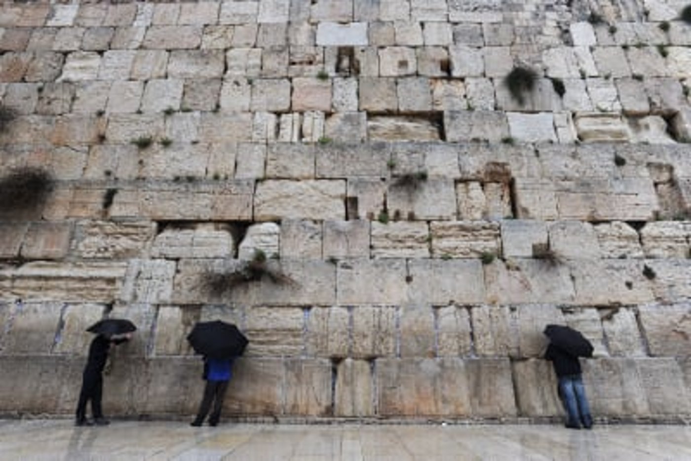 הרבנות הראשית קבעה את יום חמישי כיום תענית על הגשמים