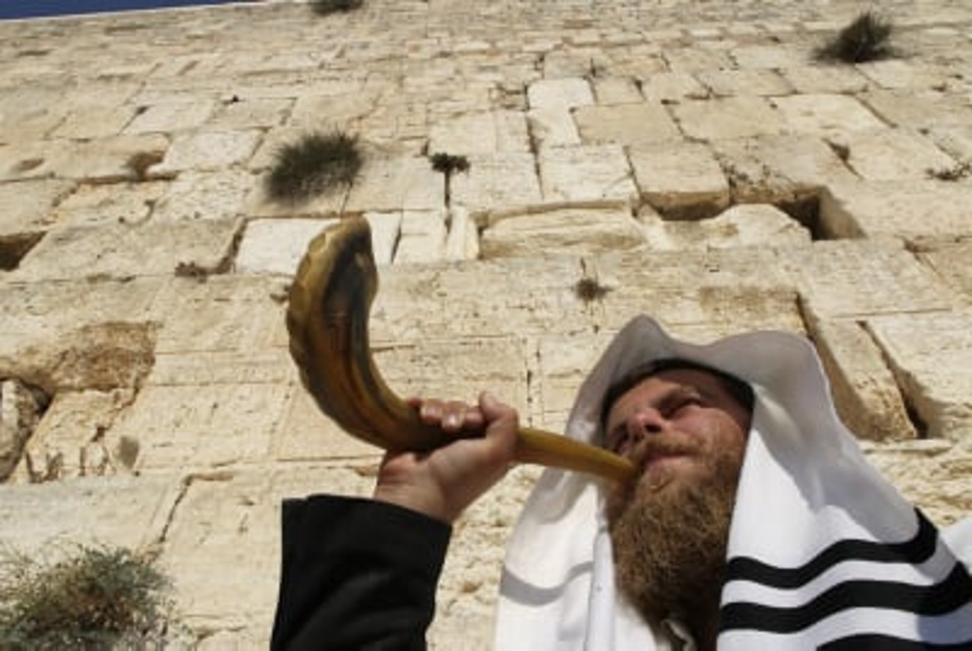 אתר סרוגים מאחל שנה טובה לכל בית ישראל