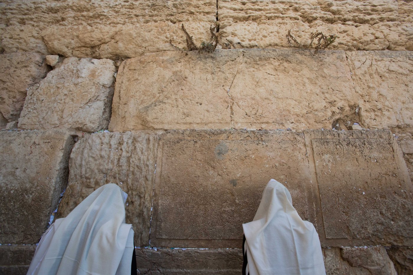 בשורה טובה: מזג האוויר ביום כיפור – נוח