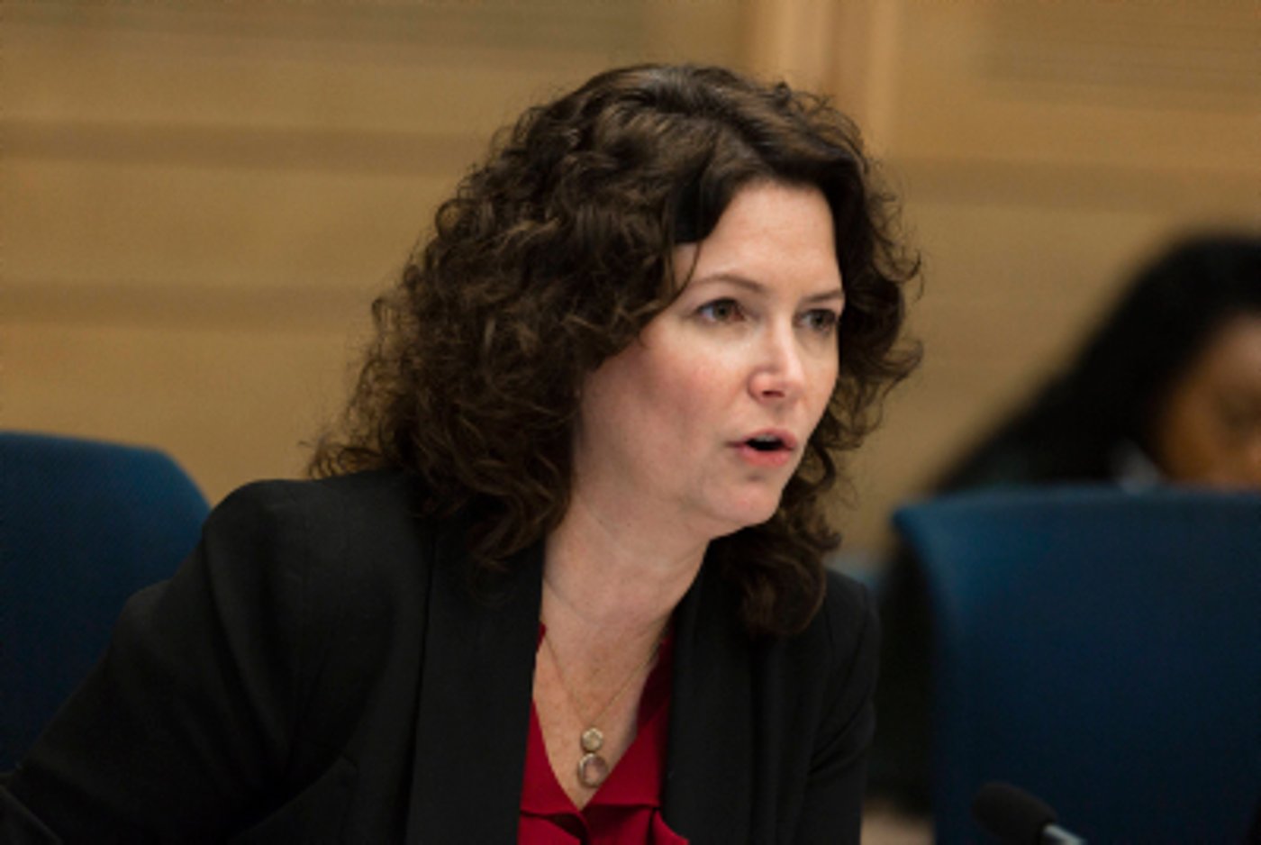 רוזין: מלאכי רוזנפלד נהרג; אבו ח'דיר נרצח