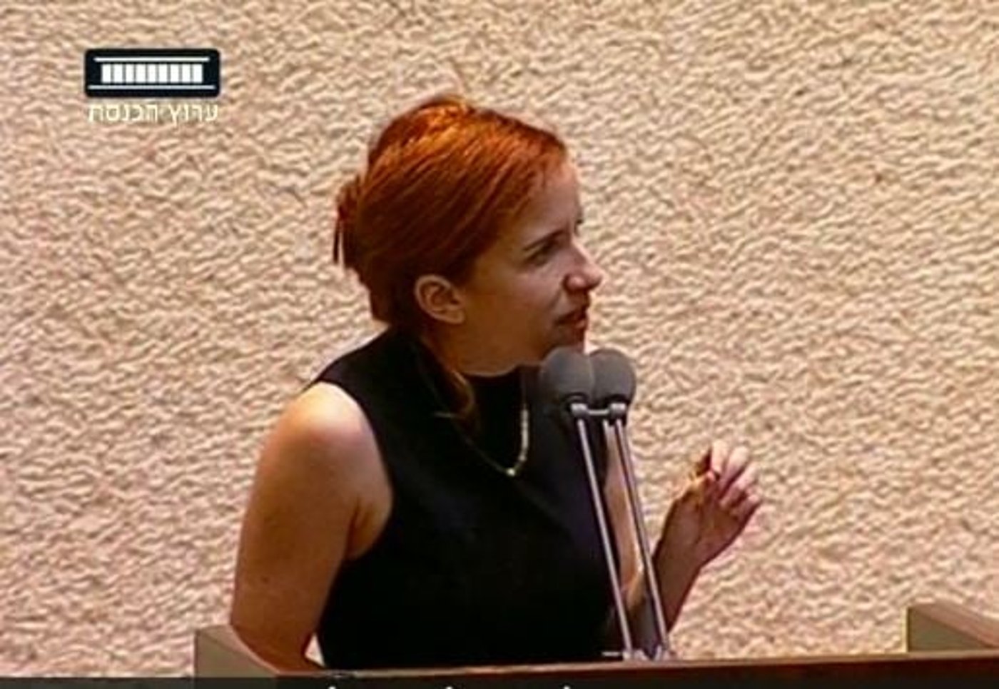 השמלה של סתיו שפיר עוררה מהומה בכנסת