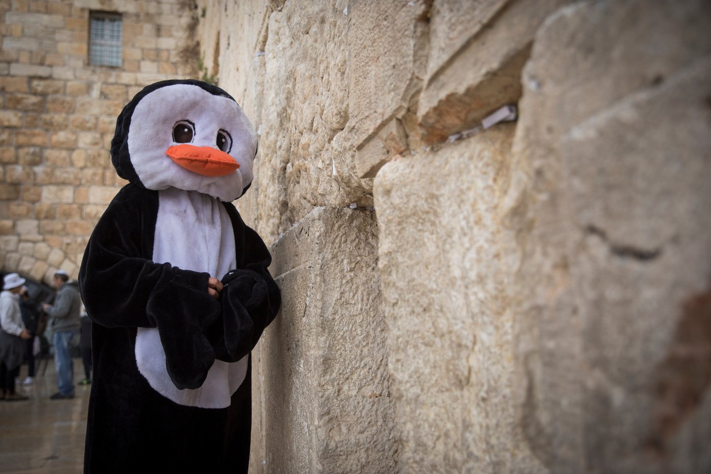 זמני הצום: תענית אסתר תשע"ח וההלכות