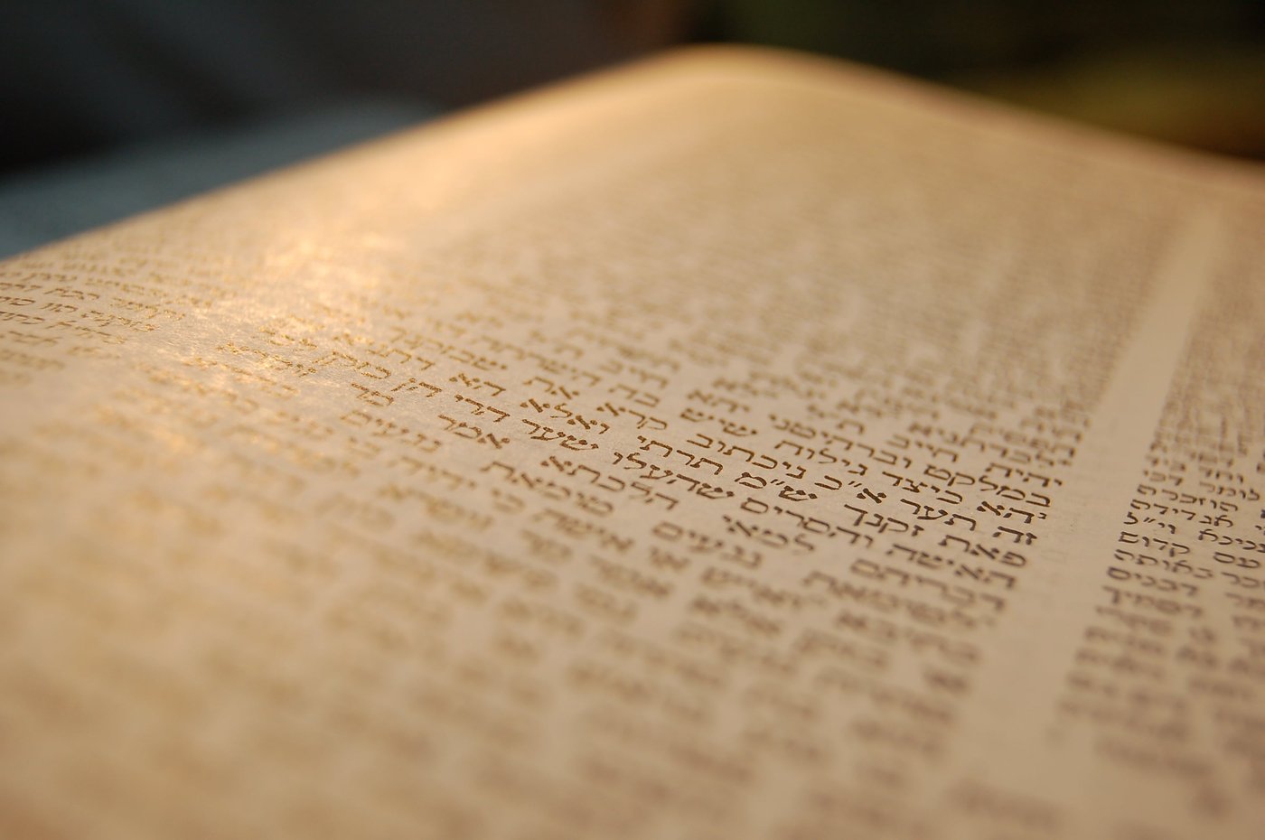 דף יומי עם הרב קצין: מסכת חולין דף מח