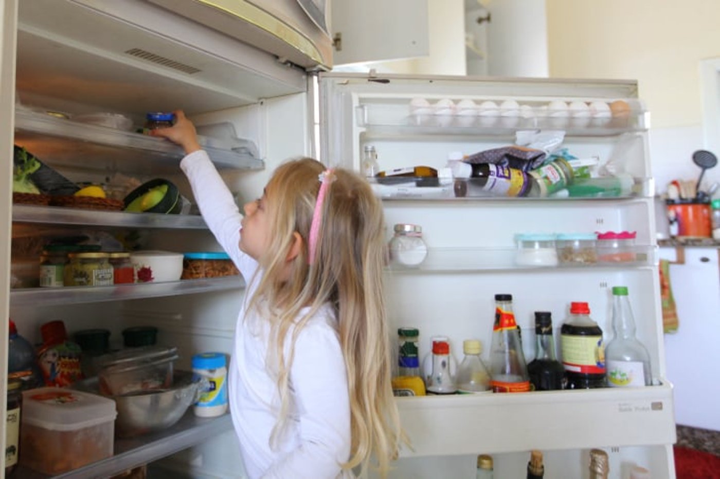 מקרר מהדרין וחג"ז: שאלות ותשובות הלכטכניות לרה"ש