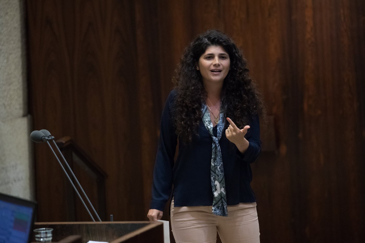 תלונה חריפה: הח"כית כינתה את ארי הי"ד "רוצח"