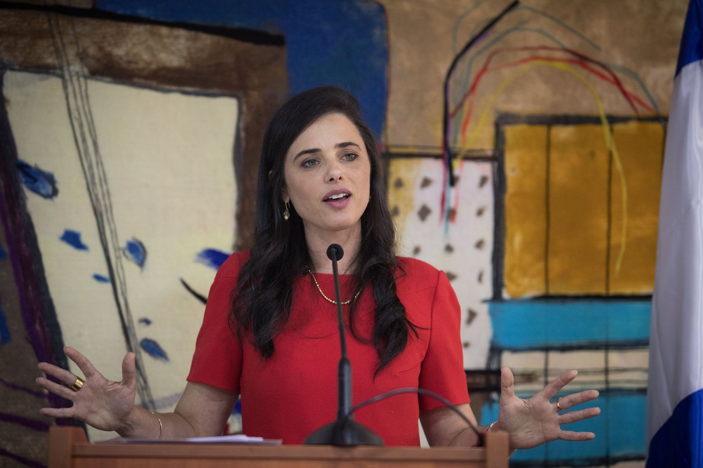 שקד על מינוי בנט: "החלטה משותפת; אין מיזוג"