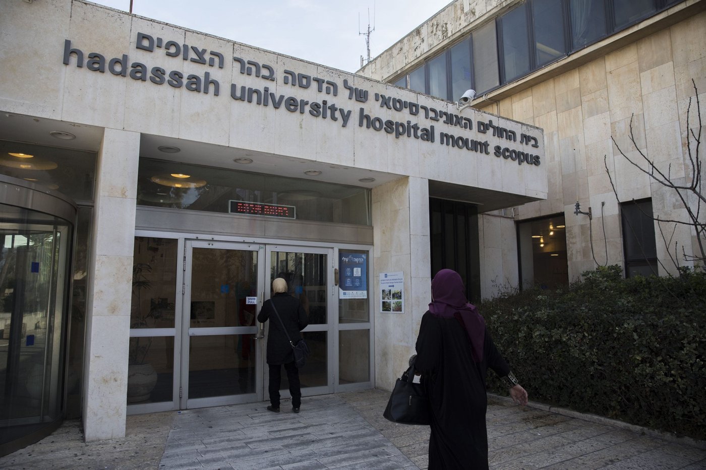 הדסה הר הצופים, אילוסטרציה