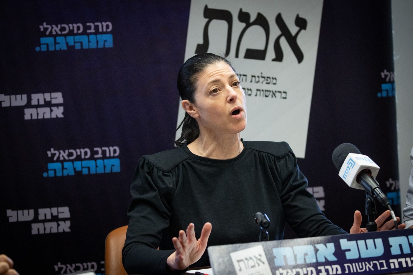 מיכאלי לסרוגים: מאמינה שהממשלה תפעל כחוק